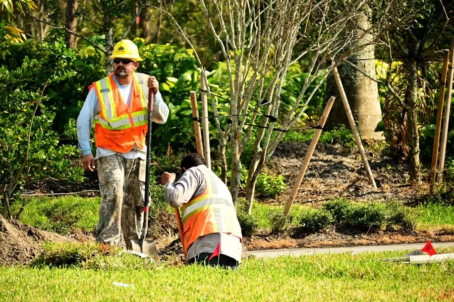 Pool equipment installation and landscaping in progress