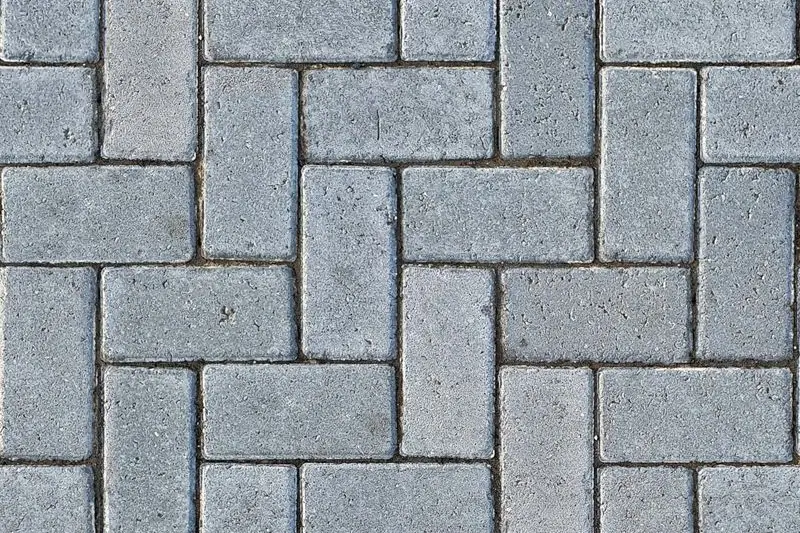 Detail of a textured stamped paver walkway