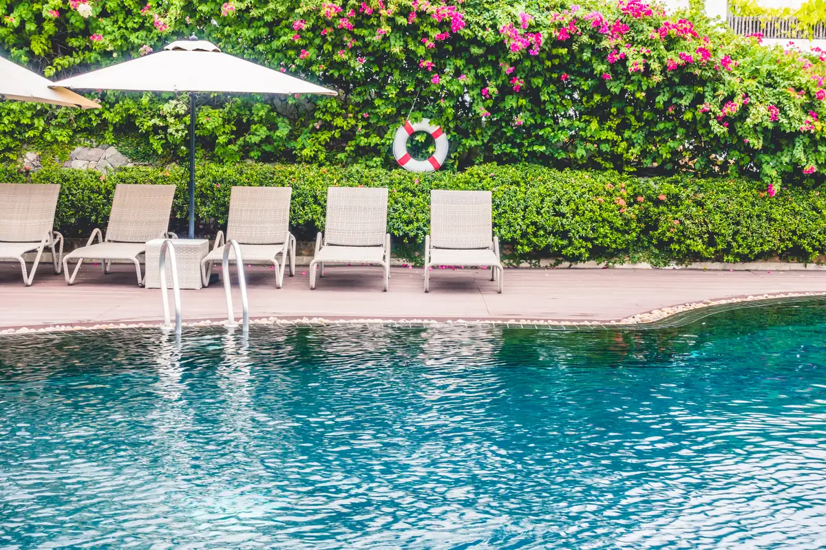 Poolside lounge chairs beside a blue pool surrounded by flowering bougainvillea